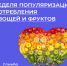 С 21.10.24 по 27.10.24 Неделя популяризации потребления овощей и фруктов - Город Можга